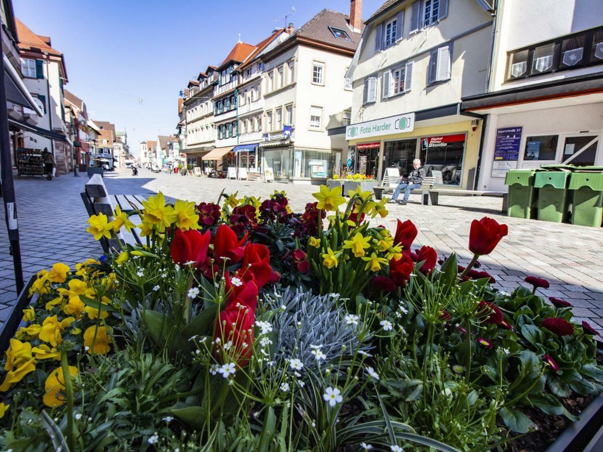 Ferienwohnung Innenstadt Oberkirch  Exteriér fotografie